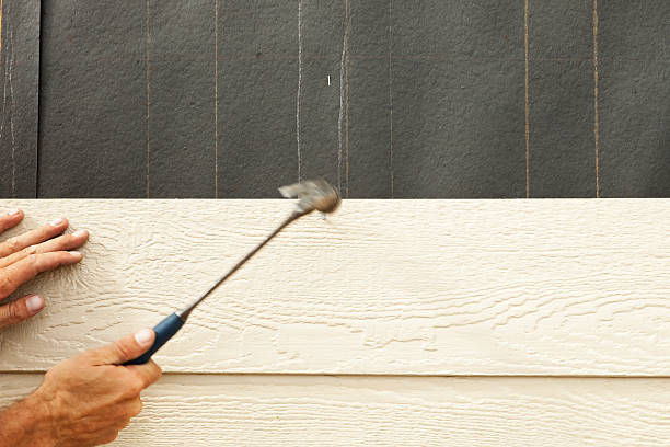 Best Brick Veneer Siding  in Valle Vista, AZ